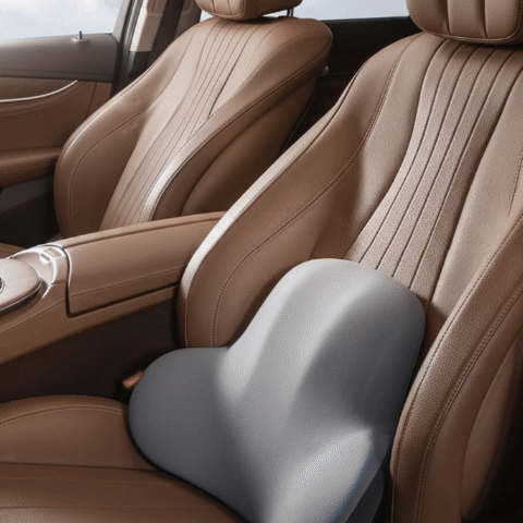 Coussin lombaire voiture
